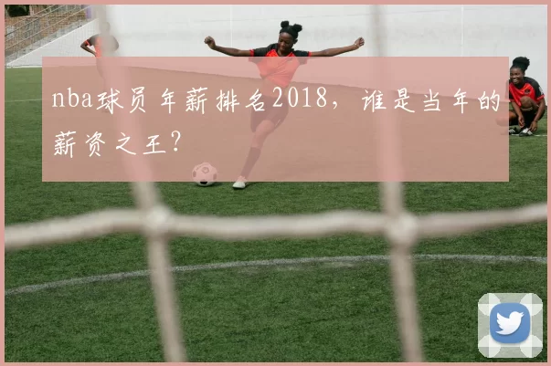 nba球员年薪排名2018，谁是当年的薪资之王？